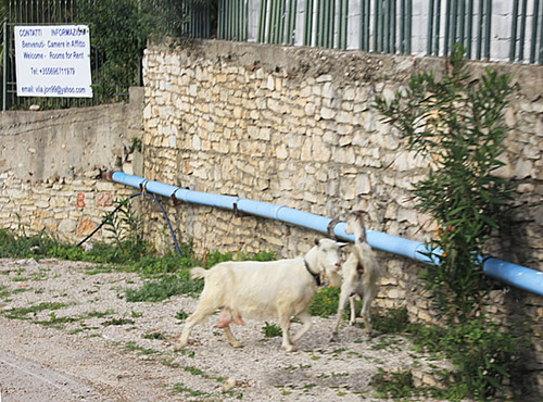 13-Saranda et Butrint