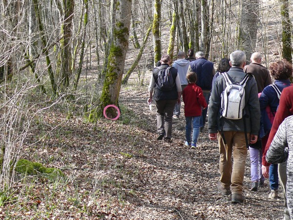 Une "chasse au Trésor enchantée" organisée par le GIP du futur Parc entre Champagne et Bourgogne a eu lieu en forêt châtillonnaise...