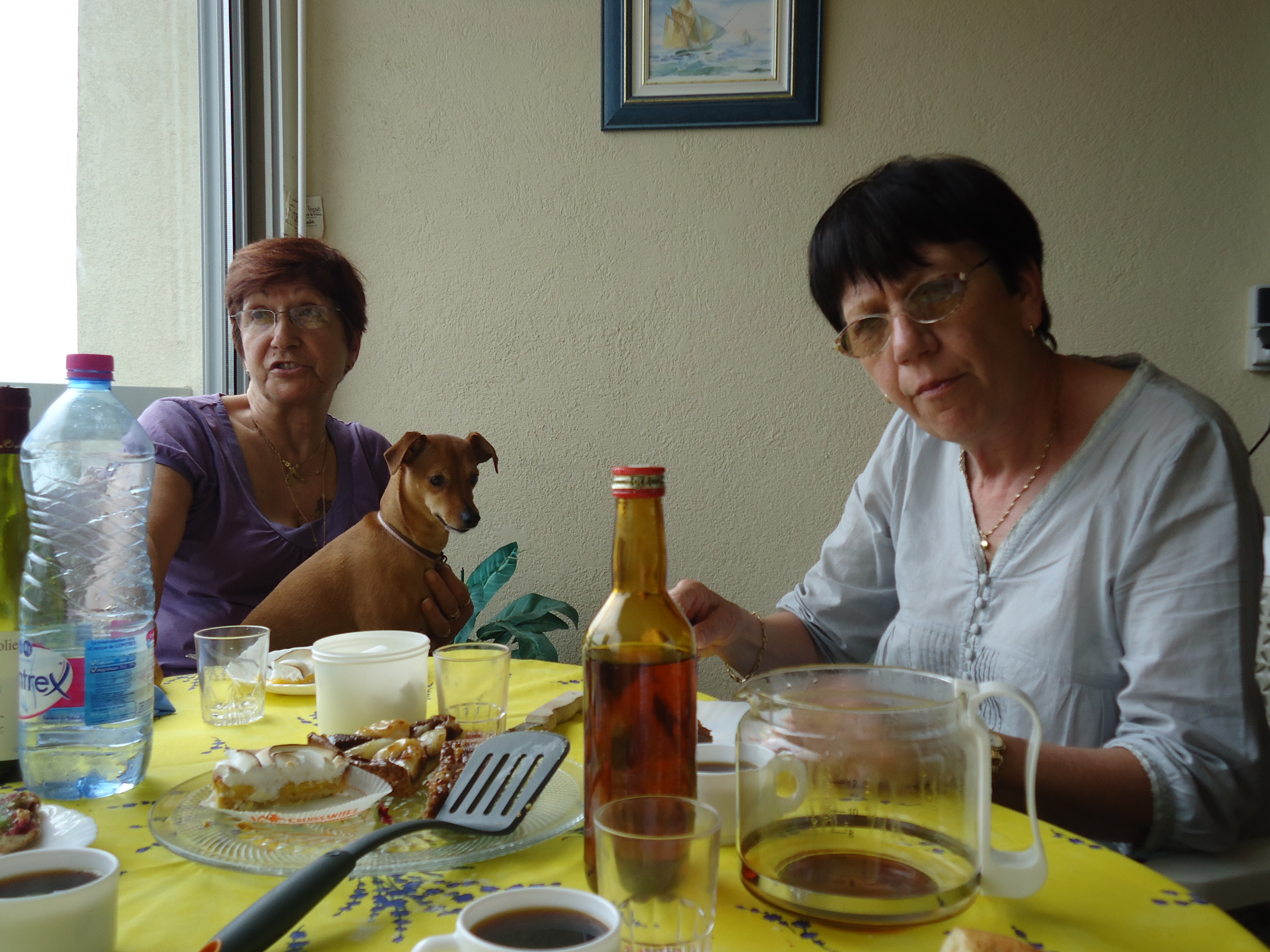 Amie rencontre