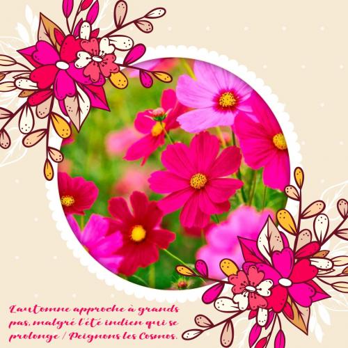 Dessin et peinture - vidéo 3897 : Comment peindre des fleurs de cosmos (humide sur humide) ? - aquarelle.
