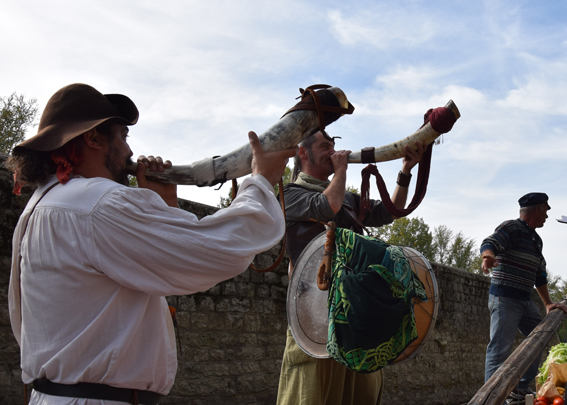 Festival de Loire 2017 à Orléans