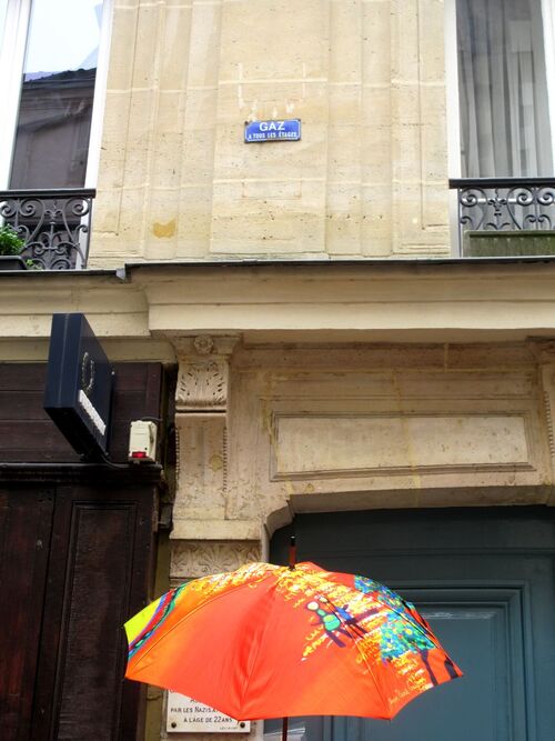 Parapluies à Paris