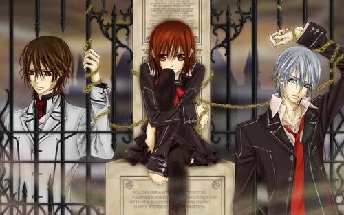 Vampire Knight, histoires sanglantes...