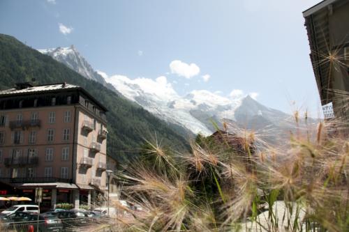 Le territoire de la commune est bordé par le massif des aiguilles Rouges qui culmine à 2 965 mètres d'altitude et, sur le versant opposé, par le massif du Mont-Blanc dont le sommet, le plus élevé d'Europe occidentale (4 809 mètres) est situé sur la limite de la commune, qui suit la ligne de crête sommitale, de l'arête des Bosses au mont Blanc de Courmayeur. Certains prétendraient donc que le versant nord du sommet du mont Blanc, et donc le sommet lui-même pour moitié, se situeraient sur le territoire de la commune de Chamonix. Pour le versant sud, la situation est différente selon le pays. L'Italie considère que la frontière passe par le sommet. La France quant à elle considère que la frontière longe les rochers de la Tournette, sous la calotte sommitale, plaçant celle-ci intégralement en territoire français.