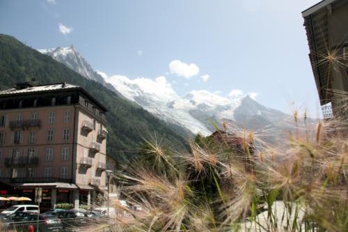 Le territoire de la commune est bordé par le massif des aiguilles Rouges qui culmine à 2 965 mètres d'altitude et, sur le versant opposé, par le massif du Mont-Blanc dont le sommet, le plus élevé d'Europe occidentale (4 809 mètres) est situé sur la limite de la commune, qui suit la ligne de crête sommitale, de l'arête des Bosses au mont Blanc de Courmayeur. Certains prétendraient donc que le versant nord du sommet du mont Blanc, et donc le sommet lui-même pour moitié, se situeraient sur le territoire de la commune de Chamonix. Pour le versant sud, la situation est différente selon le pays. L'Italie considère que la frontière passe par le sommet. La France quant à elle considère que la frontière longe les rochers de la Tournette, sous la calotte sommitale, plaçant celle-ci intégralement en territoire français. 