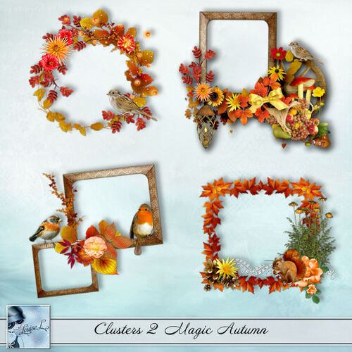 Clusters, embellissements Magic Autumn