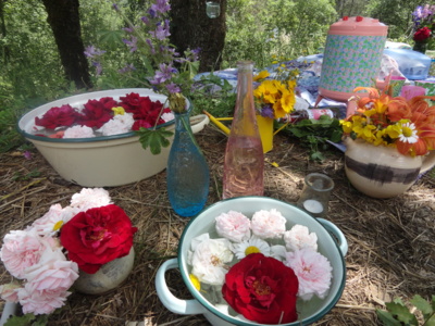 Blog de melimelodesptitsblanpain : Méli Mélo des p'tits Blanpain!, Saint-Jean d'été/Solstice d'été