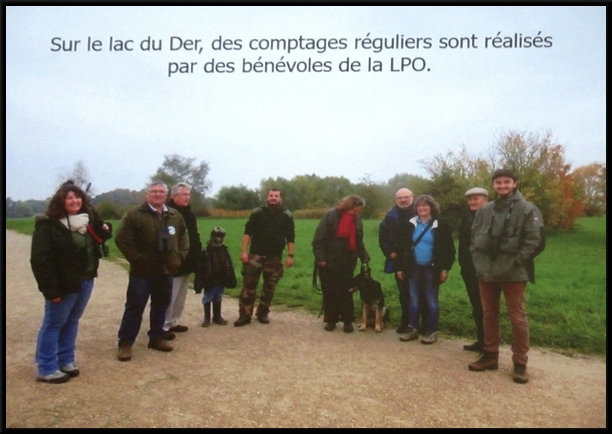 Une sortie dans lAube et la Marne, à la rencontre des "Demoiselles du lac du Der", avec la Société Mycologique du Châtillonnais