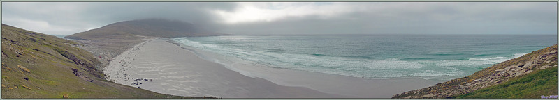 Vues panoramiques sur "The Neck", mais la météo se gâte à la vitesse V !  - The Neck (Le Détroit) - Saunders Island - Falkland (Malvinas, Malouines) - Grande-Bretagne