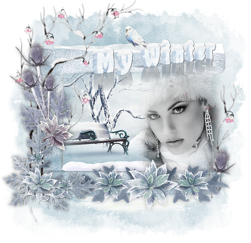 *** My Winter ***