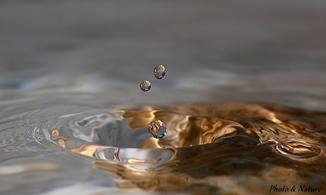 Gouttes d'eau