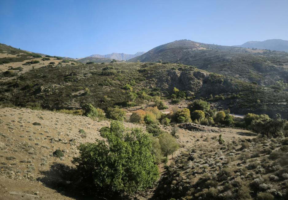 Vacances en Corse, automne 2023. 8. Train Bastia/Calvi