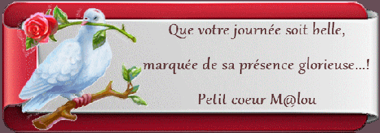 Je vous envoie tout l'amour et la lumière de Noël