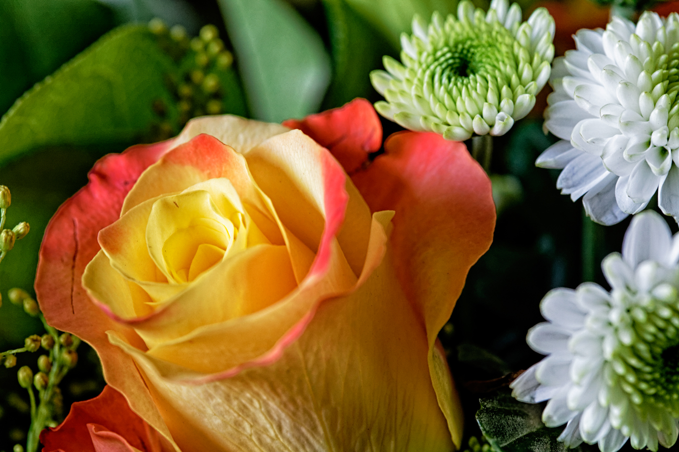 Des fleurs dans un bouquet - Photographies