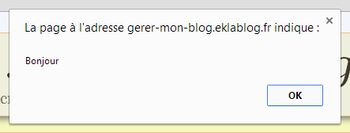 Mon premier code Javascript - afficher un message