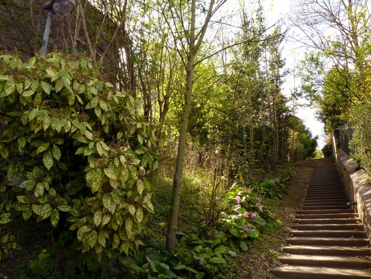 Chemin de l'Ermitage