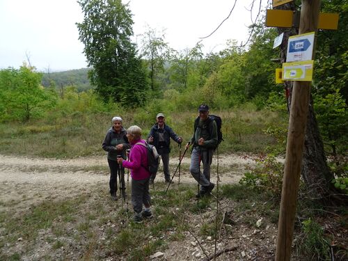 JDRP 2022 - Groupes des 10 et 15 km