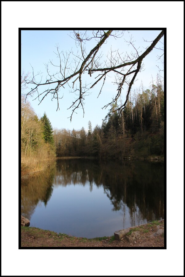 Etang de Xennois