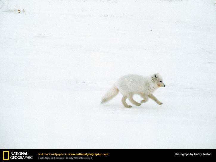 10 Images de Natl. Geographic 4