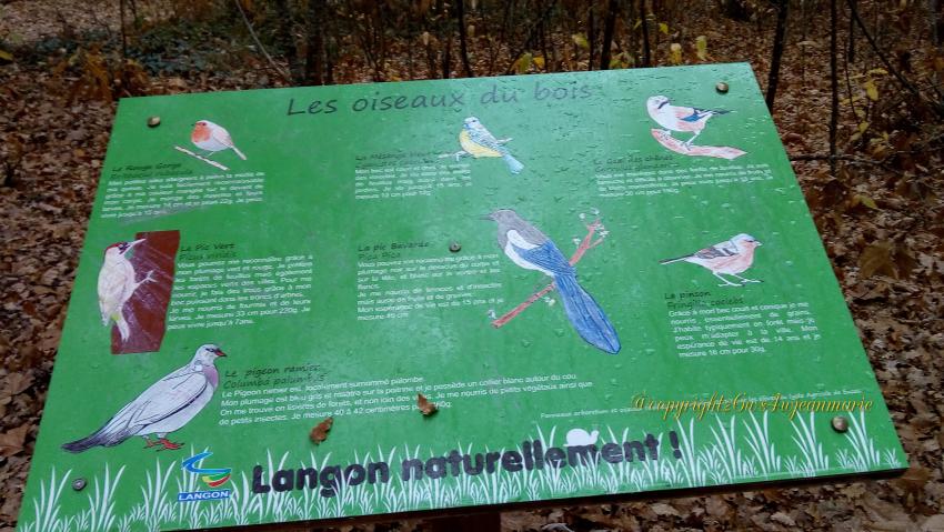 Protection des animaux,écologie,pas de chasse,un bois de réserve des oiseaux a Langon que j'ai trouvé