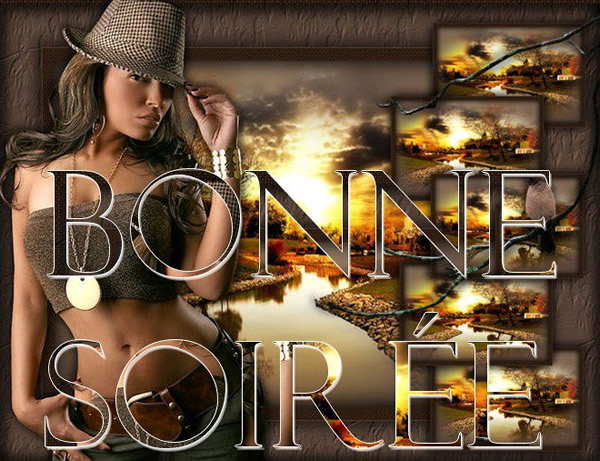 BONNE  SOIREE