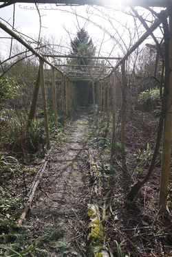 C'est magique dans le jardin d'André Eve