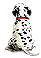 chiens-dalmatiens-00003