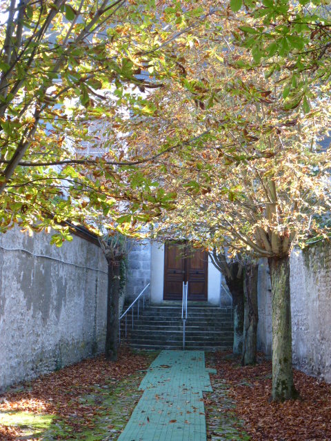 COULEURS D'AUTOMNE A BEAUGENCY