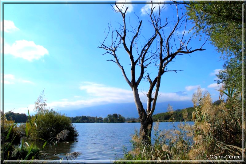 884 - En allant vers le Lac du Bourget !