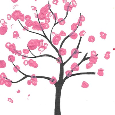 Le cerisier en fleurs de Timéo