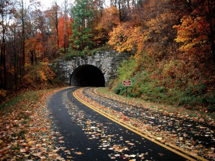 The Great Smoky Mountain