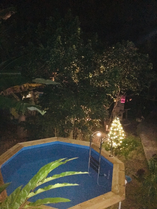 Entre piscine et sapin de Noel décembre 2018, ça c'est l'ambiance des îles- location de chambres  