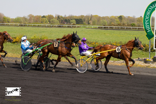 PRIX ALLAN BOISSONS - WIZERNES (Gr A)