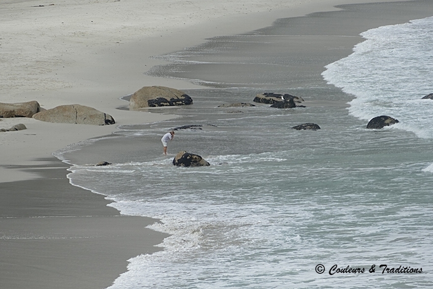 Camps Bay 