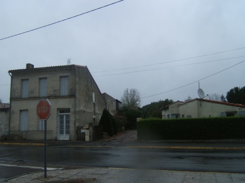 nid de frelon asiatique  et territoire PHOTO CHARENTE MARITIME 