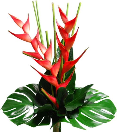 Fleurs ( bouquet ou composition ) 3