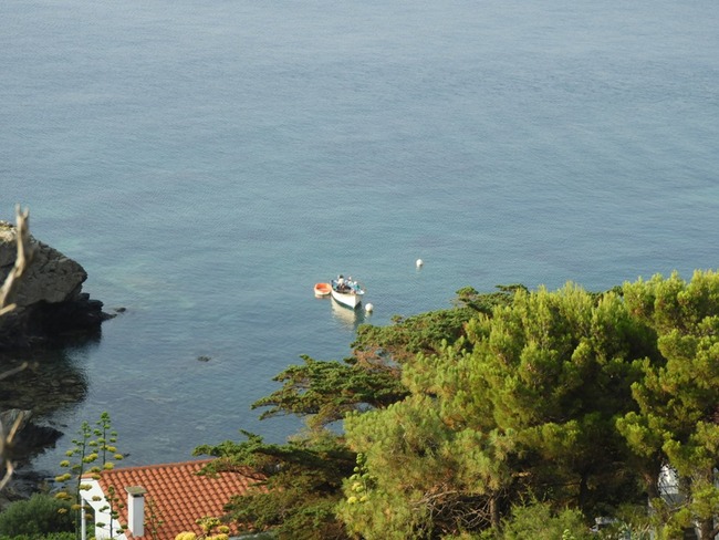 Anse Ste Catherine (Cap Béar suite)