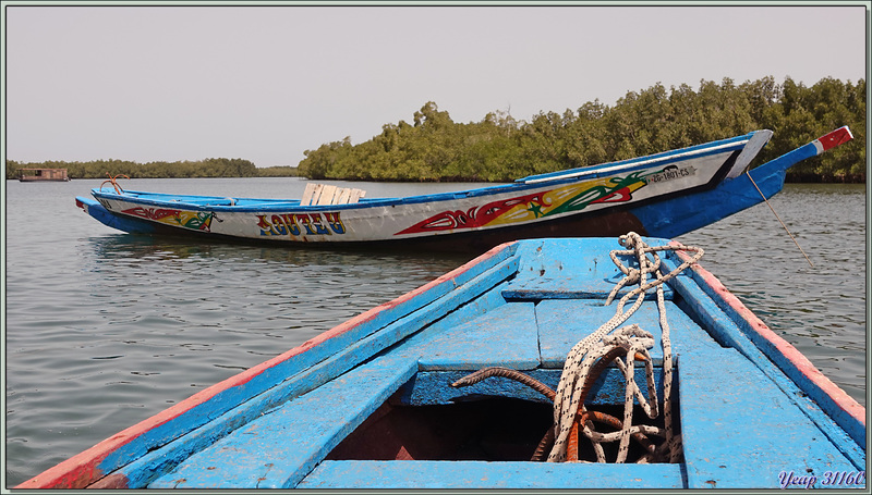 Après 1 h 15 mn de navigation au milieu des bolongs, nous arrivons sur la plage de l'île Ehidj (veut dire "Fétiche") - Casamance - Sénégal