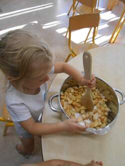 -Travail autour des pommes