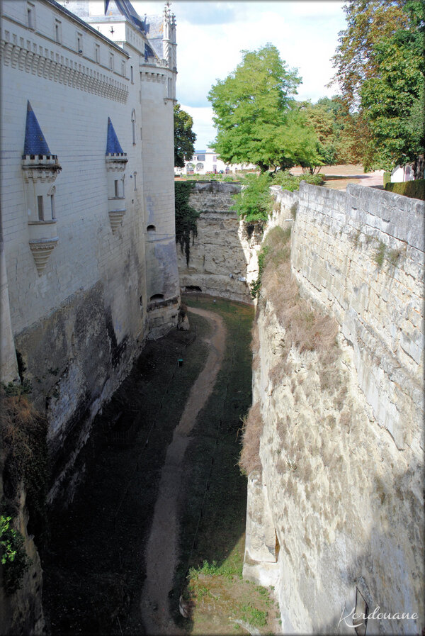 Photos des douves du Château de Brézé