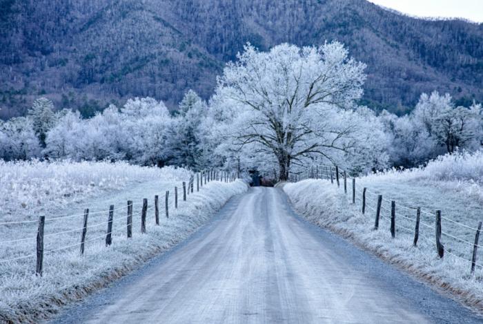 The Great Smoky Mountain