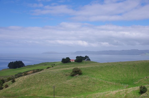 Jour 9 - D'Oamaru à Dunedin