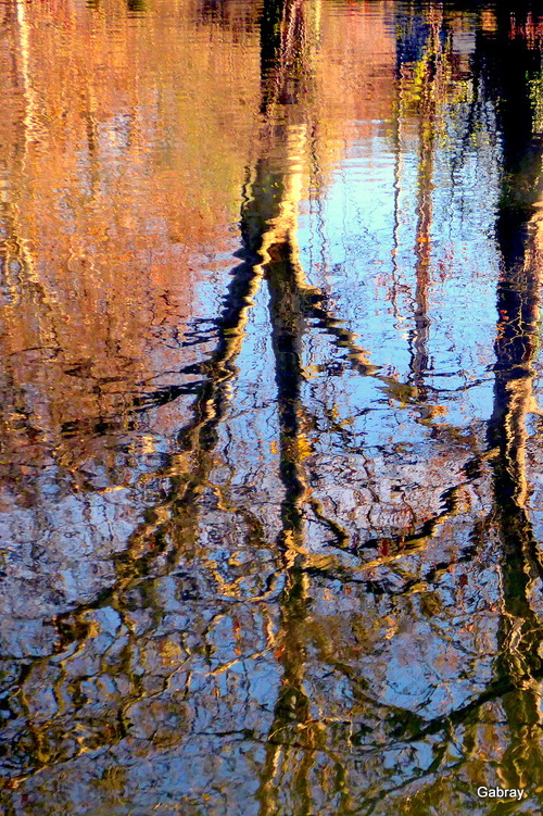 Canal du Midi : des arbres et des reflets ... n 2