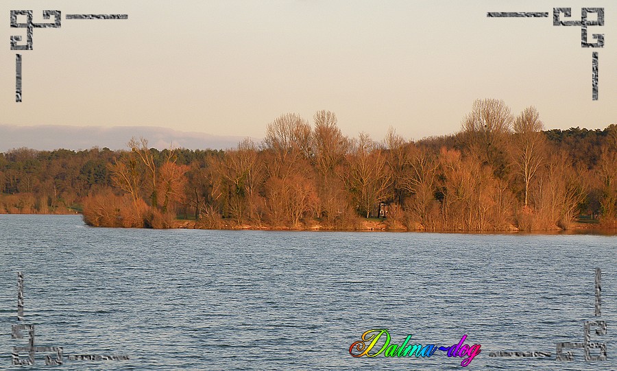 parc de saint-cyr dans la vienne