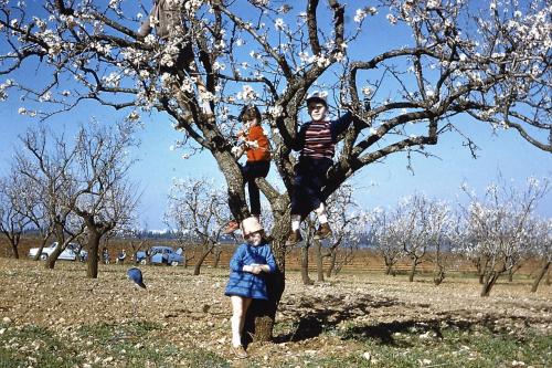 HISTOIRE FAMILLE ROSAS