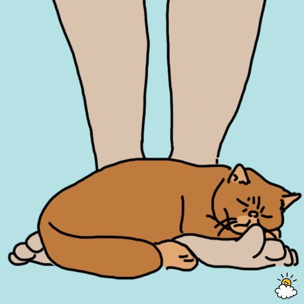 Le réchauffeur de pied