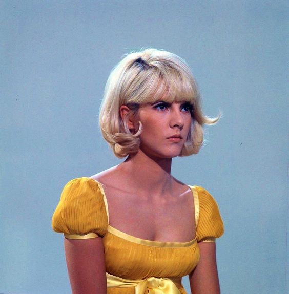 sylvie vartan: 