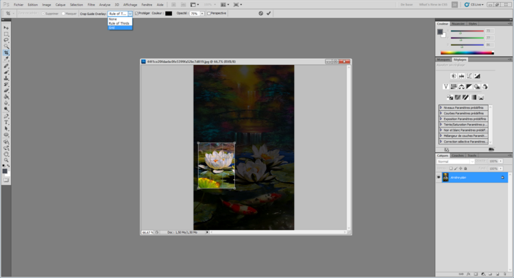 Réglage de la taille de l'image cours 1