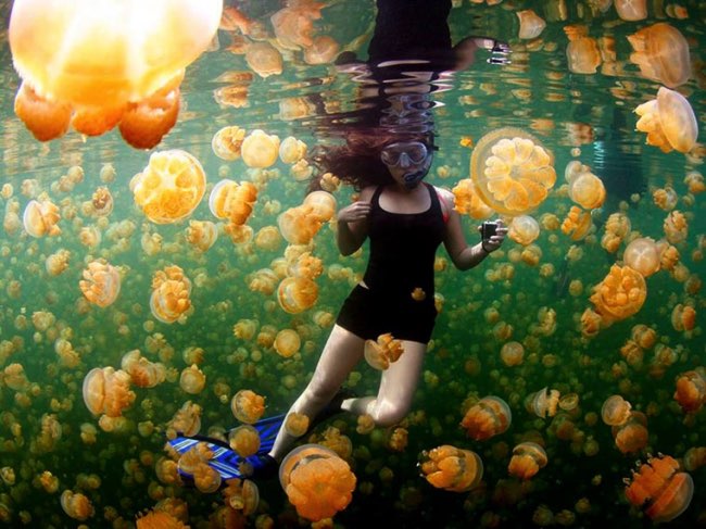 national geographic plus belle photos 2015 6 - 20 Photos Préférées du National Geographic sur Internet en 2015 national geographic plus belle photos 2015 6 - 20 Photos Préférées du National Geographic sur Internet en 2015