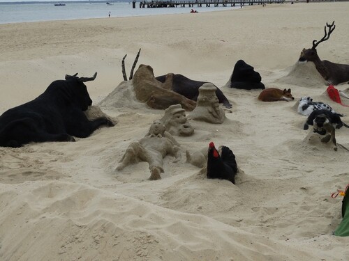 Un zoo dans le sable...